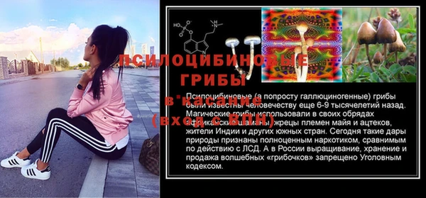 гидра Надым