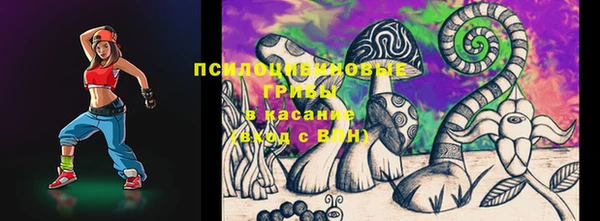 дживик Арсеньев