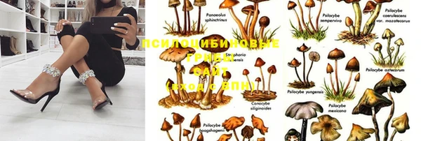 мдма Аркадак