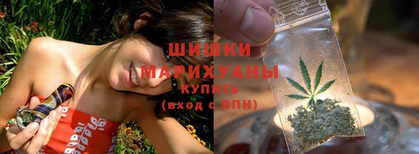 дживик Арсеньев