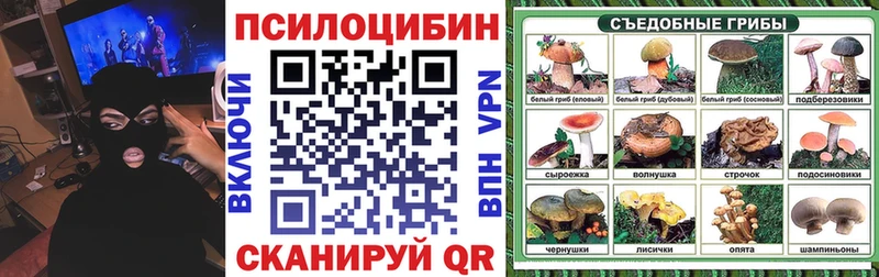 как найти закладки hydra вход Псилоцибиновые грибы Psilocybine cubensis Лениногорск