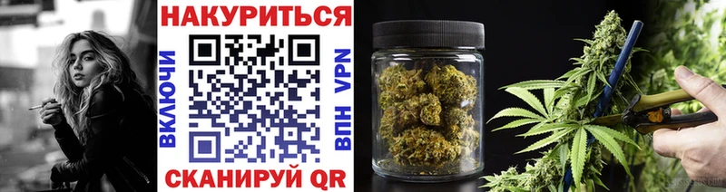 Каннабис план Лениногорск